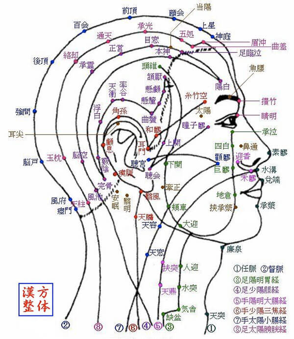 中医美容 - 経穴療法（鍼灸、按摩、カッサ、耳ツボ） | 東文中醫